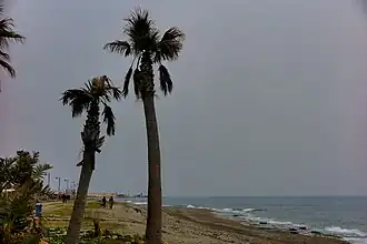 Plage de Carchuna (es)