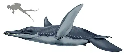 Pliosaurus