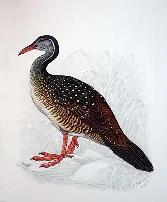 Description de cette image, également commentée ci-après