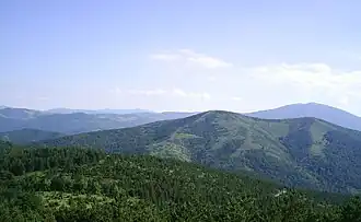 Image illustrative de l’article Goč (montagne)