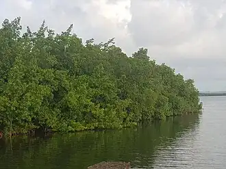 La pointe Beautiran en septembre 2023.