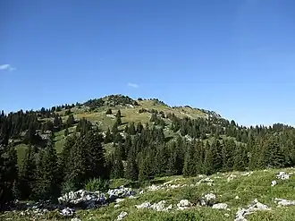 Vue de la pointe d'Ireuse depuis Nifflon d'en Haut.