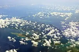 Image illustrative de l’article Polillo