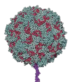 Boule dont la surface comprend de petites formes géométriques colorés.