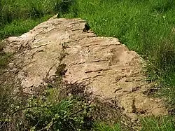 Polissoir sur la rive gauche (inscrit MH).