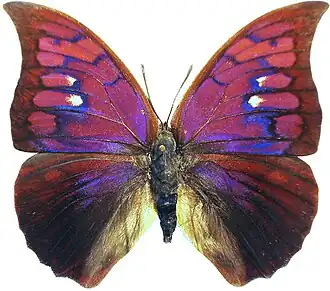 Description de cette image, également commentée ci-après