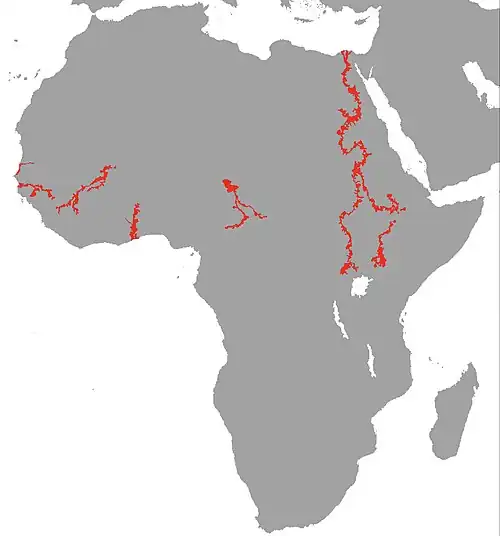 Carte de l'aire de répartition de l'espèce.