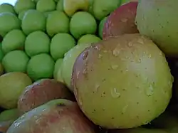 Photographie en couleurs représentant des pommes.