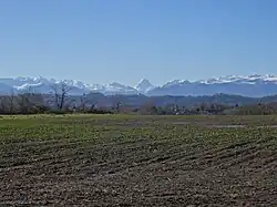 Photographie en couleurs d'un champ agricole, avec en fond des montagnes enneigées.