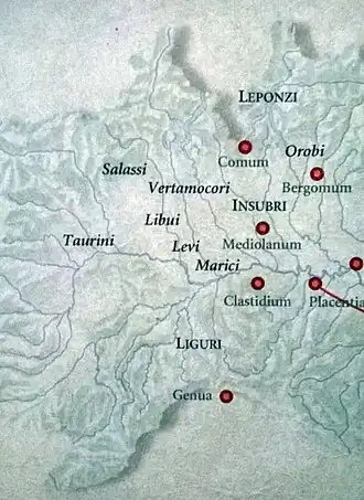 Image illustrative de l’article Vertamocores