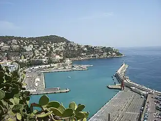 Vue du mont Boron depuis la colline du château