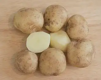 illustration de Boreal Kasvinjalostus