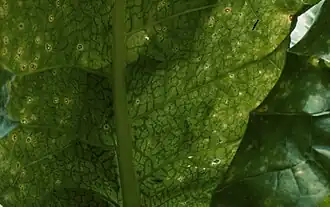 Description de cette image, également commentée ci-après