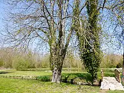 Prairie de la Porte.