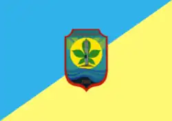 Drapeau de Dniproroudne