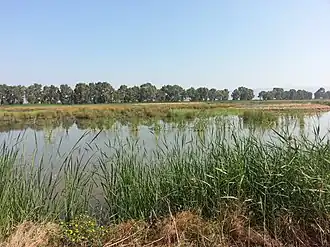 Image illustrative de l’article Lac Salso