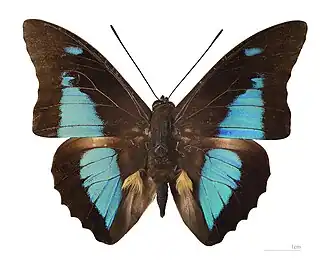 Description de cette image, également commentée ci-après