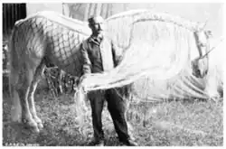 Photo en noir et blanc d'un homme tenant dans sa main la longue crinière d'un cheval blanc