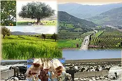 Description de cette image, également commentée ci-après