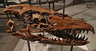 Description de cette image, également commentée ci-après