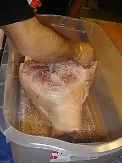 Gros plan sur un bras d'homme en train de frotter de gros sel un énorme jambon placé dans un bassin en plastique transparent.