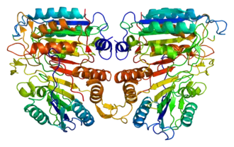 Image illustrative de l’article Caspase 9