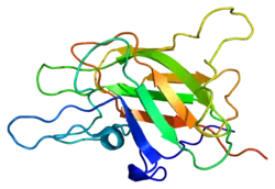 Description de l'image Protein F5 PDB 1czs.png.