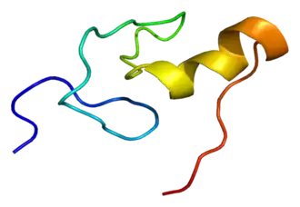 Image illustrative de l’article GATA1