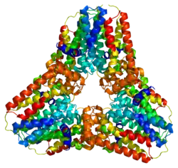 Description de cette image, également commentée ci-après