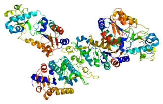Image illustrative de l’article Sirtuine 5