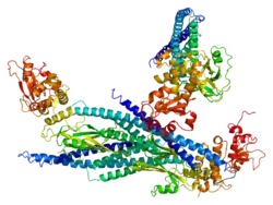 Image illustrative de l’article STAT5