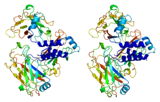 Image illustrative de l’article TRAF2