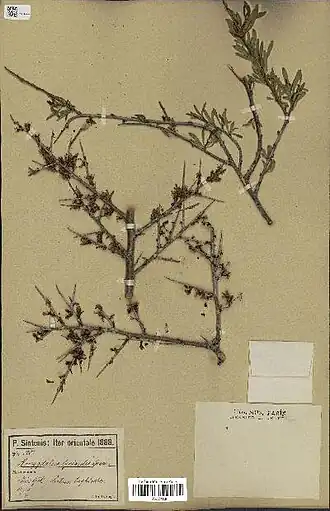 Description de cette image, également commentée ci-après