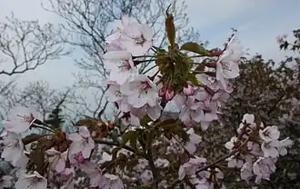 Description de cette image, également commentée ci-après