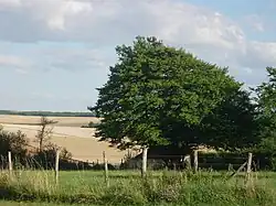 Les champs, prés et vergers depuis Prusy.
