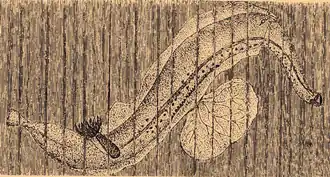 Description de cette image, également commentée ci-après