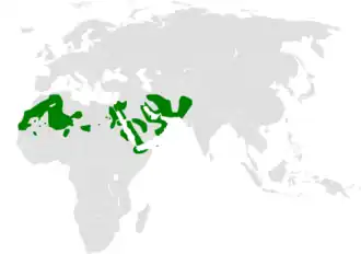 Description de l'image Ptyonoprogne_obsoleta_distribution_map.png.