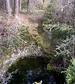 Puits des Fangettes près du Maubert (La Roque-Sainte-Marguerite, Aveyron).