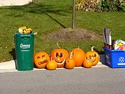 Citrouilles d’Halloween, après la fête.