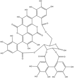Image illustrative de l’article Punicalagine