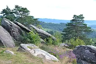 Chaos rocheux au sommet du puy.