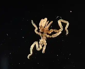 Description de cette image, également commentée ci-après