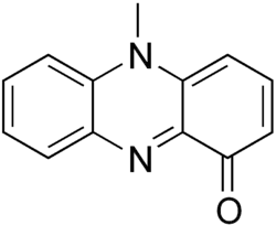 Image illustrative de l’article Pyocyanase