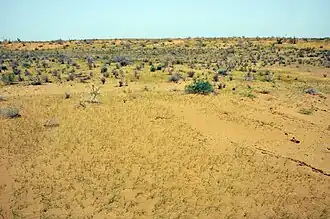 Image illustrative de l’article Désert du Kyzylkoum