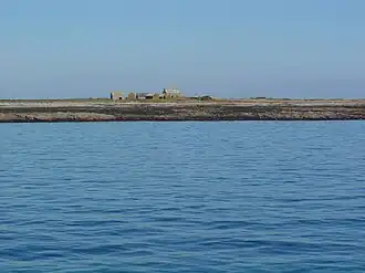 L'île de Quéménès vue depuis le sud, à marée basse et avant la restauration de sa ferme