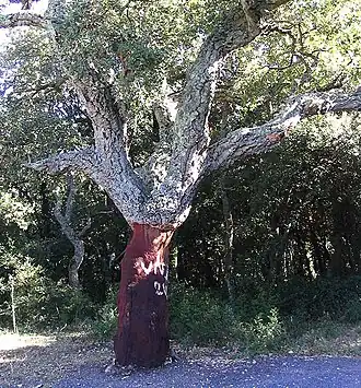 Description de cette image, également commentée ci-après