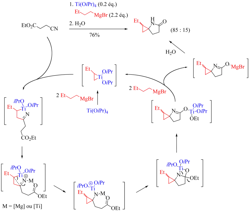 Réactions de Kulinkovich-Szymoniak à partir de cyanoesters