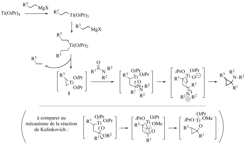 Mécanisme de la réaction de Kulinkovich-de Meijere