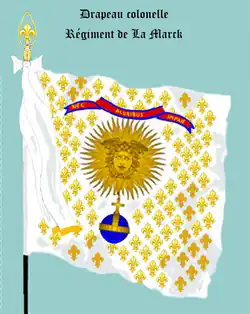 drapeau colonel.