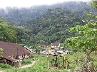 Image illustrative de l’article Réserve de biosphère de Dimonika